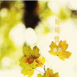 颜陌 - 好可惜