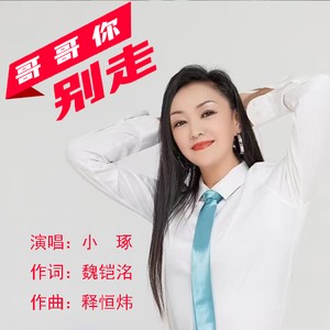 小琢 - 哥哥你别走（DJ版）