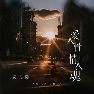 安儿陈 - 爱入骨情入魂