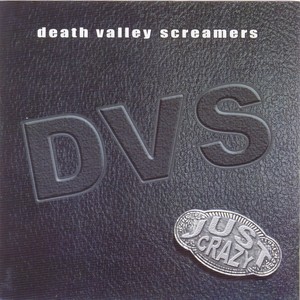 DVS - Kamikaze