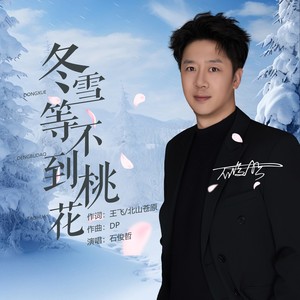 石俊哲 - 冬雪等不到桃花