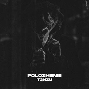 T3nzu《Polozhenie(Instrumental - slowed to perfection)》[MP3_LRC]