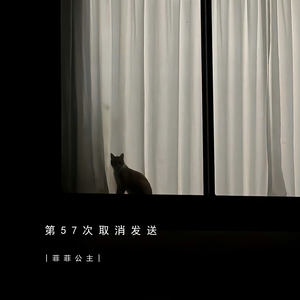 菲菲公主 - 第57次取消发送