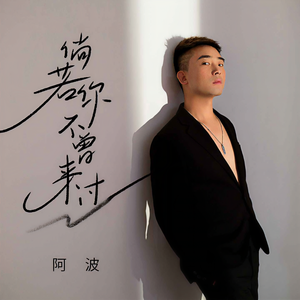 阿波 - 倘若你不曾来过