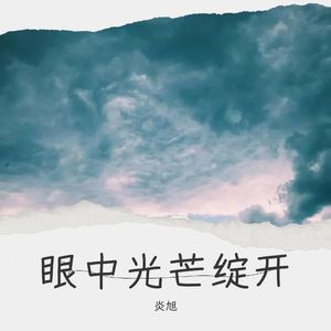 炎旭《陪你无奈(Demo)》[MP3_LRC]