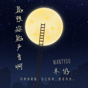 禾仍 - 是想你的声音啊