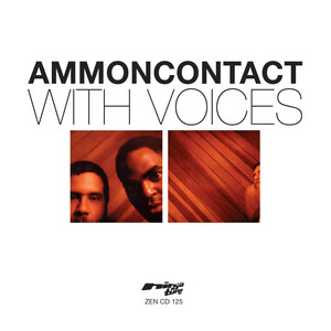 Ammoncontact&Yusef Lateef&Prince Po&Dwight Trible - Beautiful Flowers