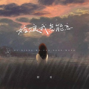 野哥 - 姑娘我怎能忘