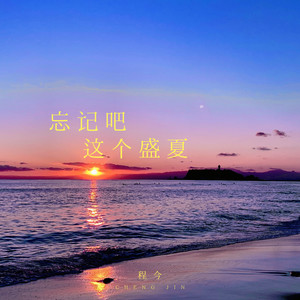 程今《忘记吧这个盛夏(DJ铁柱版)》[MP3_LRC]