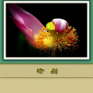 周蕙 - 约定