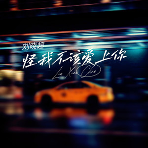 刘晓超 - 怪我不该爱上你