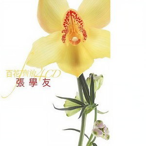 张学友 - 轻抚你的脸