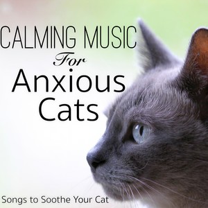 Cat Music Dreams&RelaxMyCat - Gentle Breeze