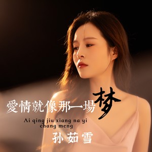 孙茹雪 - 爱情就像那一场梦