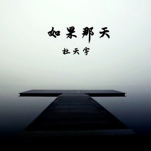 杜天宇 - 如果那天