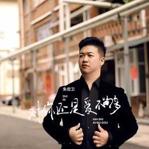 朱俊卫 - 对你还是爱不够