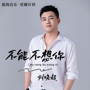 刘晓超 - 不能不想你