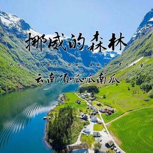 云南顶呱呱南瓜 - 挪威的森林