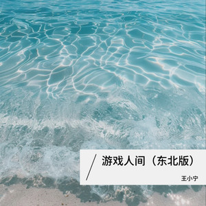 王小宁 - 游戏人间
