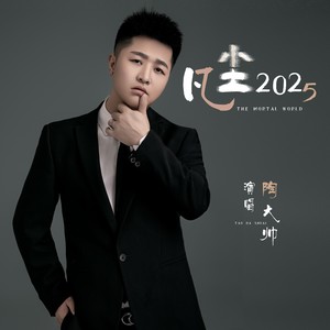 陶大帅 - 凡尘2025 (DJ伟然版)