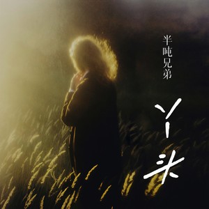 半吨兄弟 - 丫头