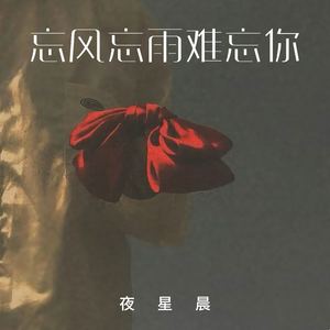 夜星晨《忘风忘雨难忘你(伴奏)》[MP3_LRC]