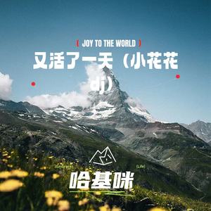 哈基咪 - 又活了一天（小花花dj）