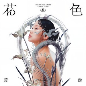 黄龄 - 青纹