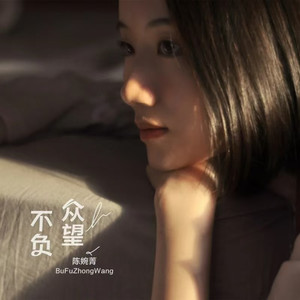 陈婉菁《不负众望(DJ沈念版)》[MP3_LRC]