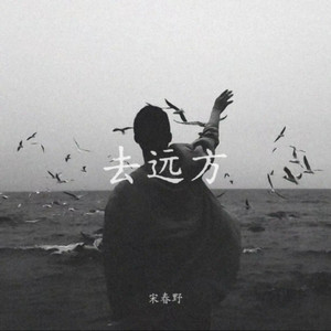 宋春野 - 去远方