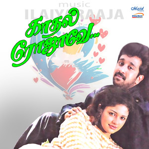 Ilaiyaraaja&Vaali&Muthulingam&Vaasan&S. P. Balasubrahmanyam&K. S. Chithra《Pudhu Ponnu》[MP3_LRC]