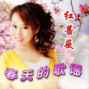 红蔷薇 - 春天的歌谣