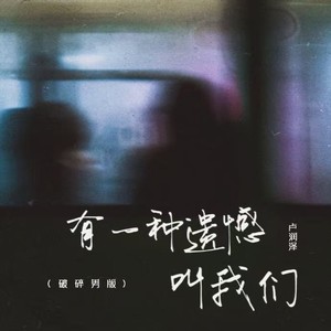 卢润泽 - 有一种遗憾叫我们