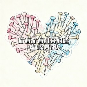 大头针 Official《你看你看月亮的脸》