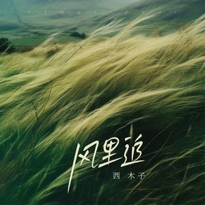西木子 - 风里追