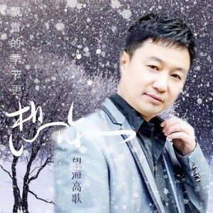 望海高歌 - 飘雪的季节更想你