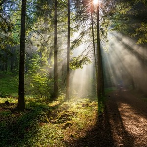 Calm Relaxation Music&Electronic&Green Powered - Blankets And Fuzzy Frequencies