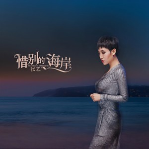 张乙 - 惜别的海岸
