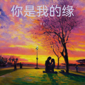 X Y - 一路向北(DJ版) (翻奏: 姜海龙(南风))