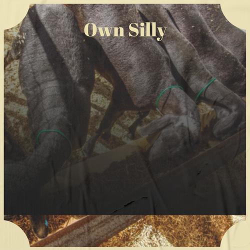 Own Silly