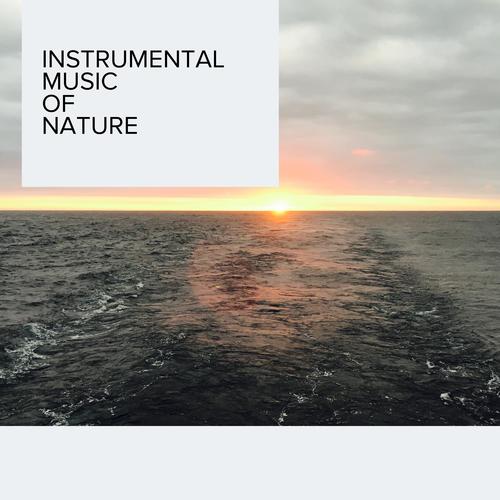 Instrumental Music of Nature
