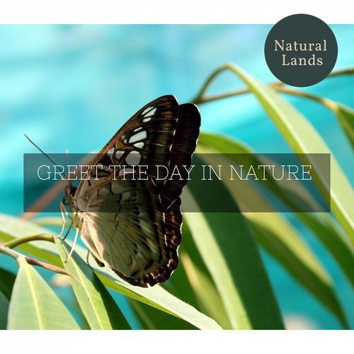 Greet The Day in Nature