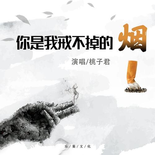 你是我戒不掉的烟(伴奏)