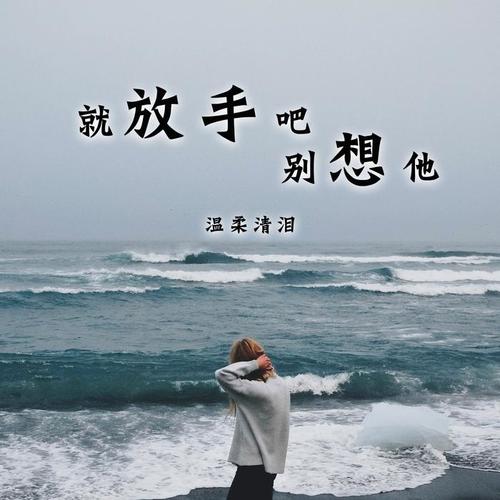 温柔清泪发布的新专辑《就放手吧别想他》.