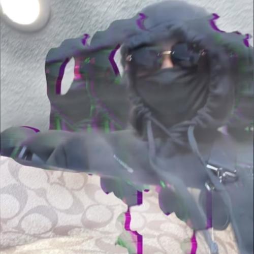 2004 Pistons (Explicit)