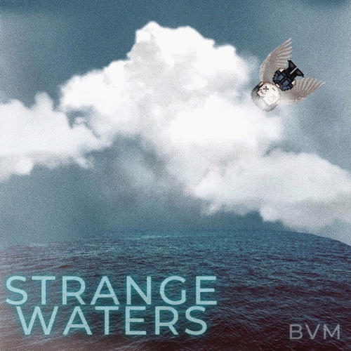 STRANGE WATERS