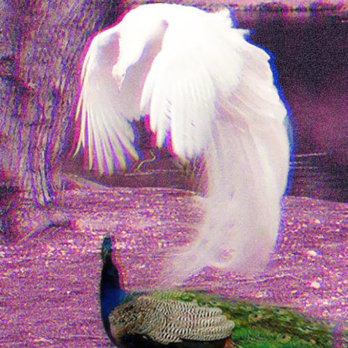 Transcendence Of A Broken Soul