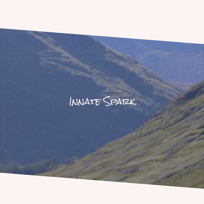 Innate Spark