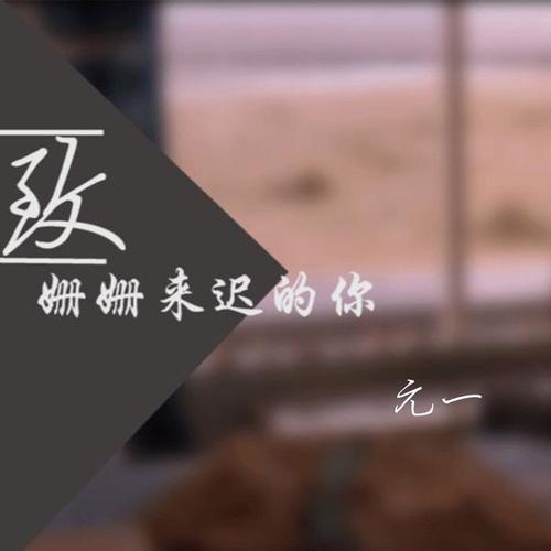 致姗姗来迟的你 - 元一