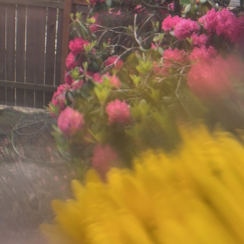 In the end (Explicit)